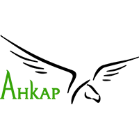 ankar ankar